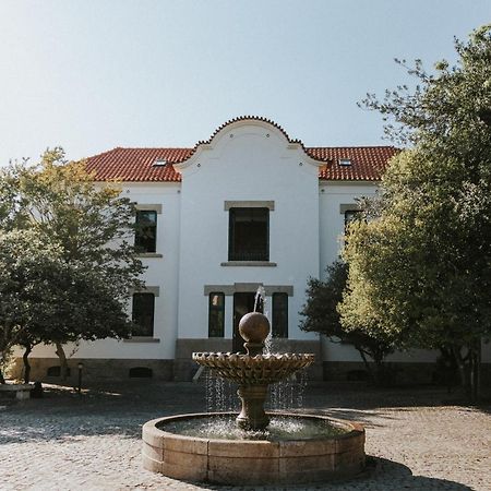 Casa Dos Vales - Luxury Villa Penafiel Eksteriør billede