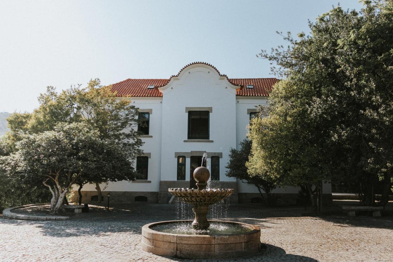 Casa Dos Vales - Luxury Villa Penafiel Eksteriør billede